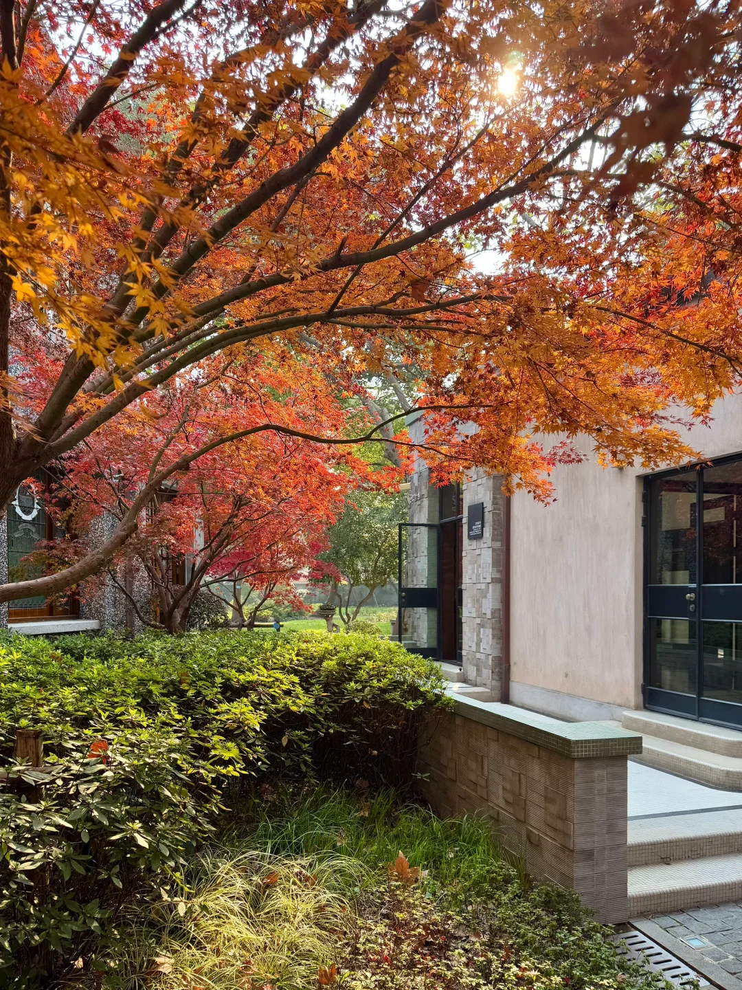 上海最难约的博物馆？！藏在老洋房里