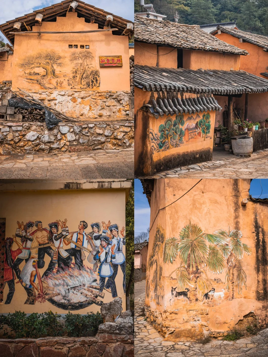 🌈弥勒| 12-2月冬季避寒旅行的宝地！