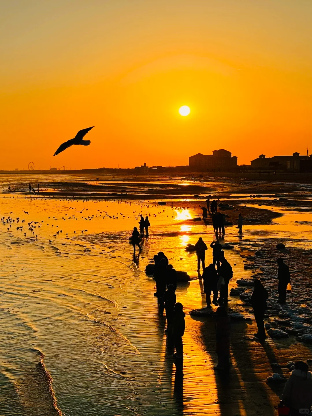 为了这𝟏𝟖张𝐥𝐢𝐯𝐞图我去了趟秦皇岛🌊