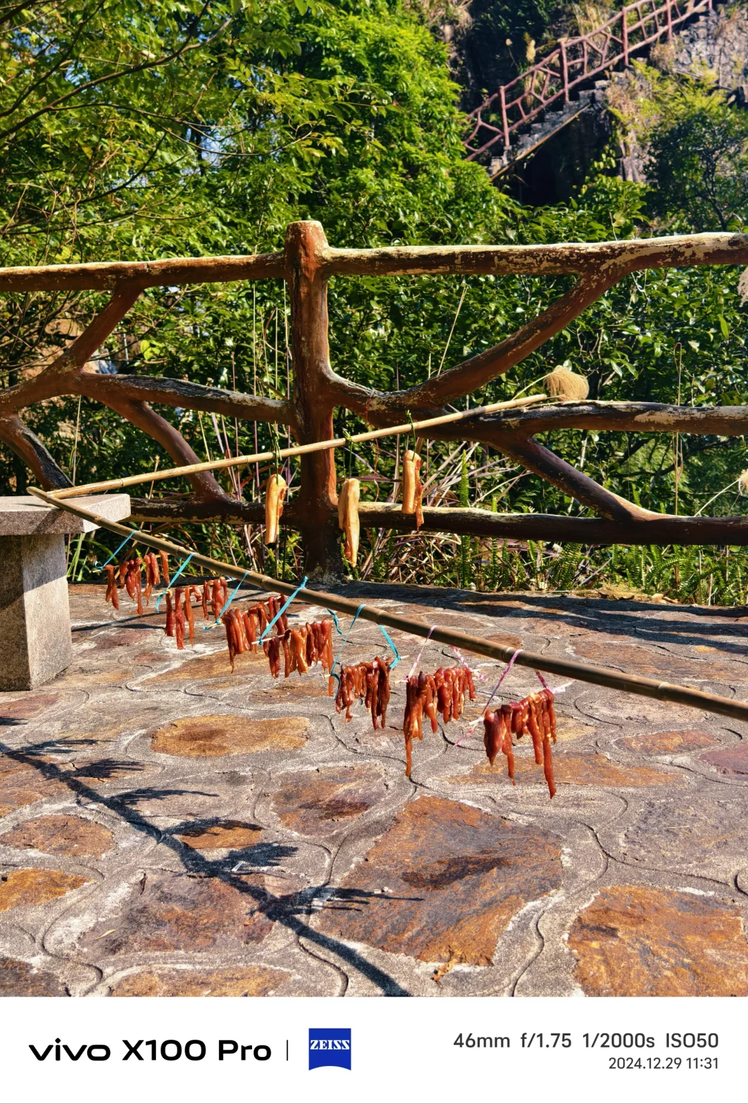 2024.12.29北帝山⛰️