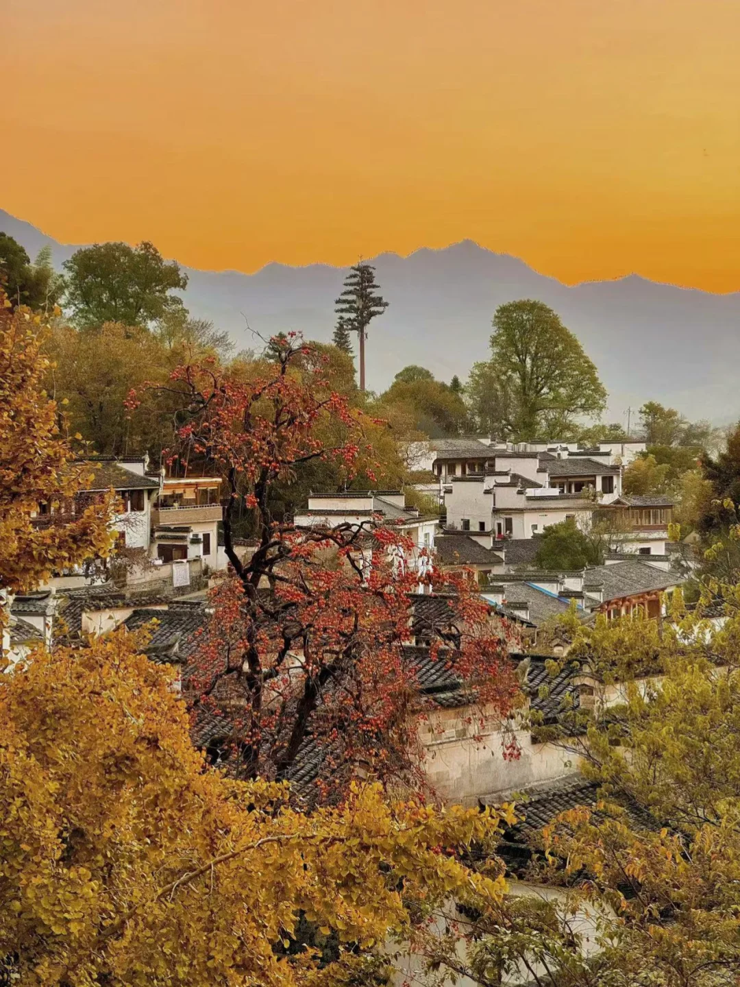 后悔没早点来徽州,小红书跟风最成功的一次