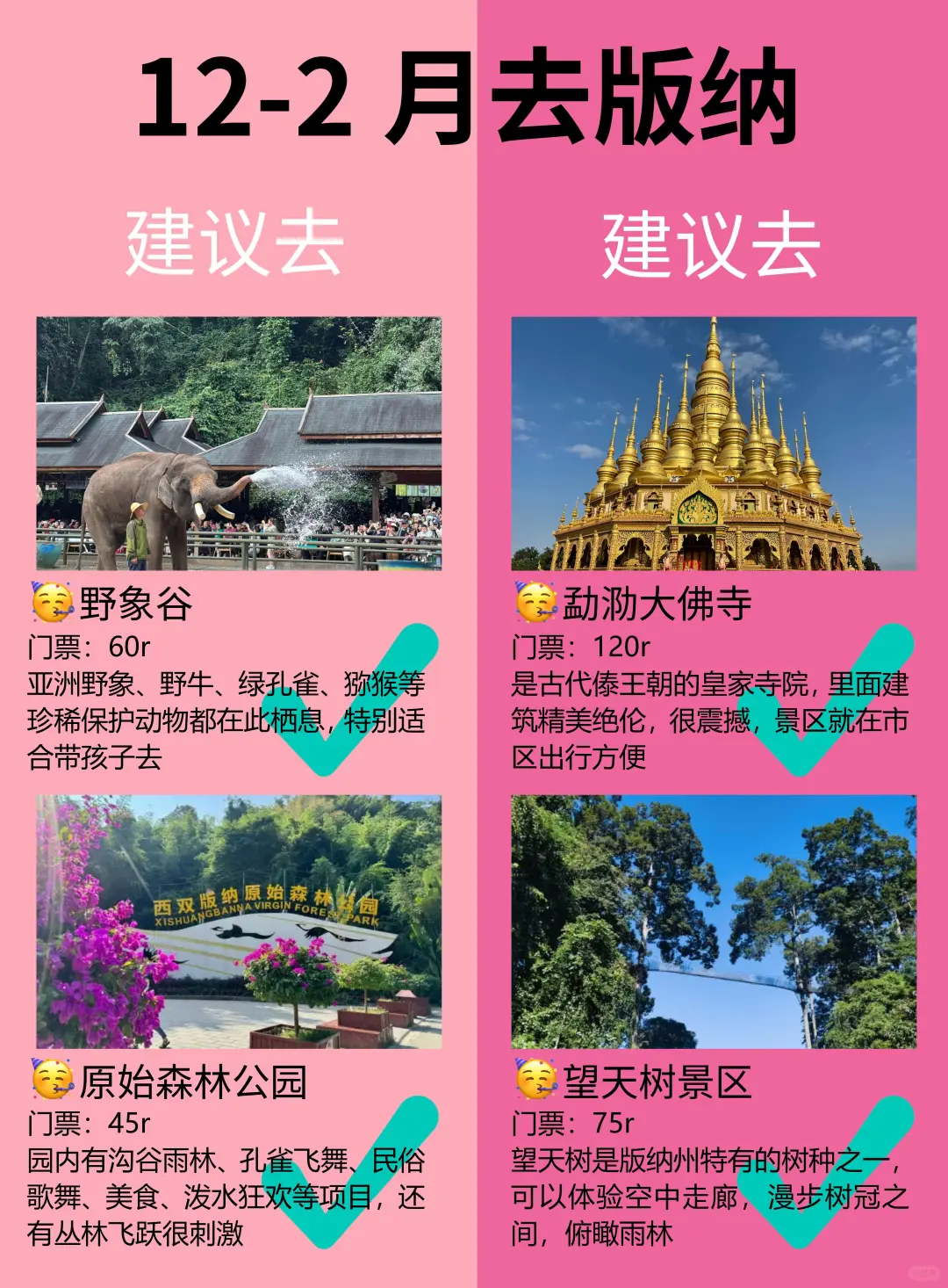 版纳12-2月景点红黑榜📍建议去🆚不建议