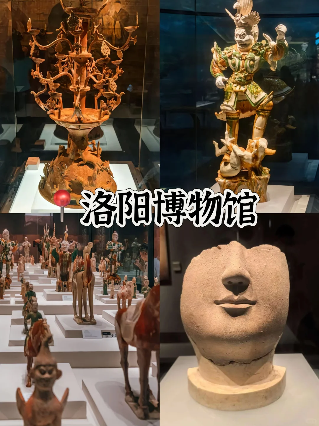 04女大📍洛阳|三天两夜超详细版旅游攻略