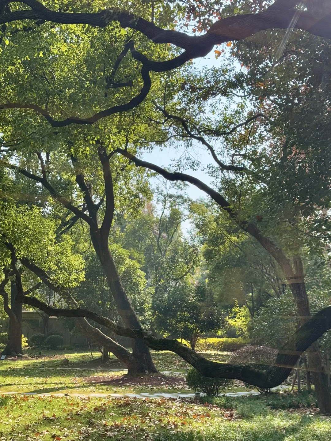 上海最难约的博物馆？！藏在老洋房里