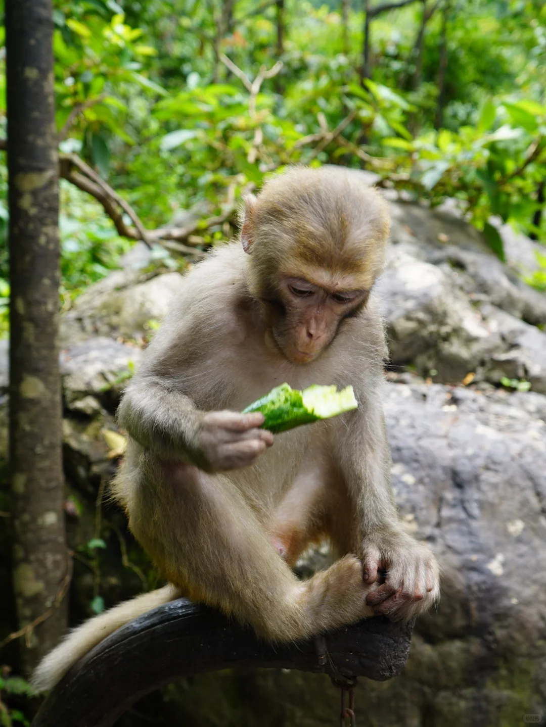 湖南｜5天4晚自由行攻略，精华景点全包含❗