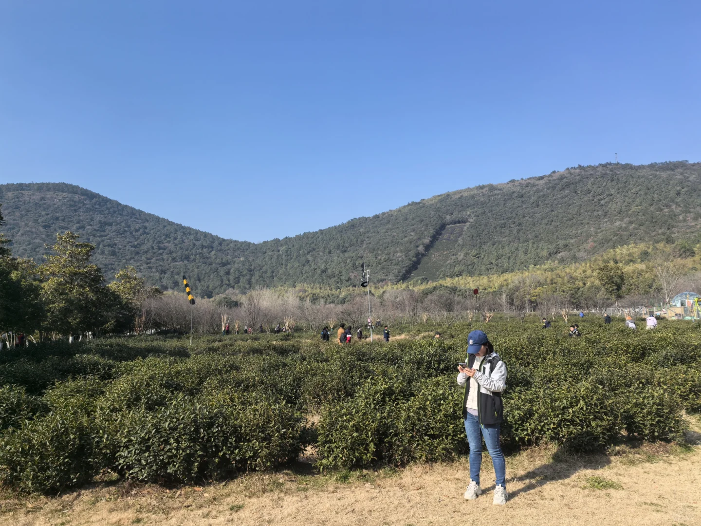 难度系数超低的亲子户外行动|旺山徒步2025