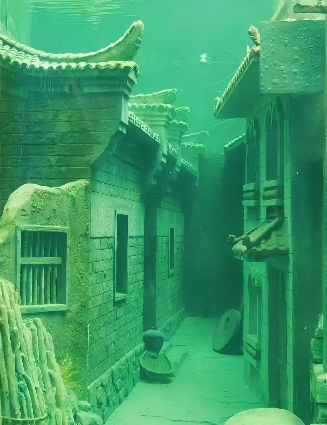 长见识了！第一次见到水下博物馆