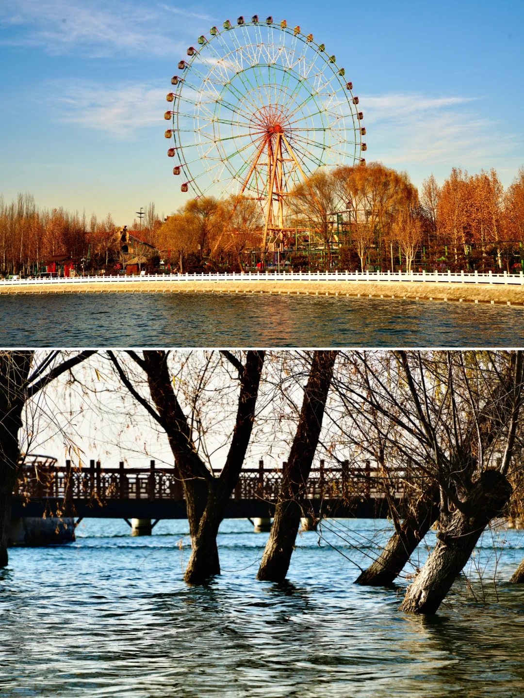 骗你去——河北邯郸2024.12.22