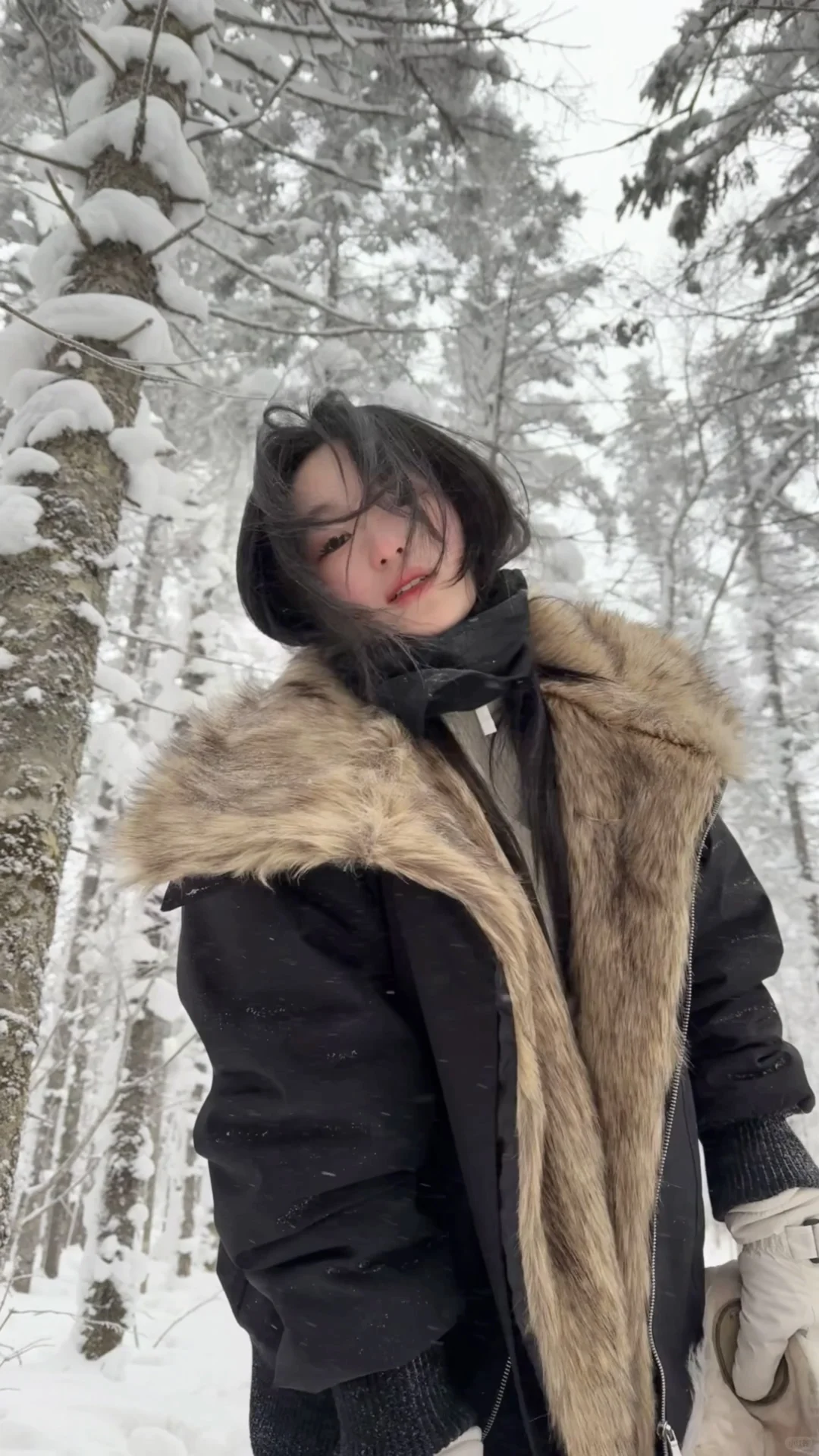 ❄️一篇看懂雪岭和老里克湖怎么选