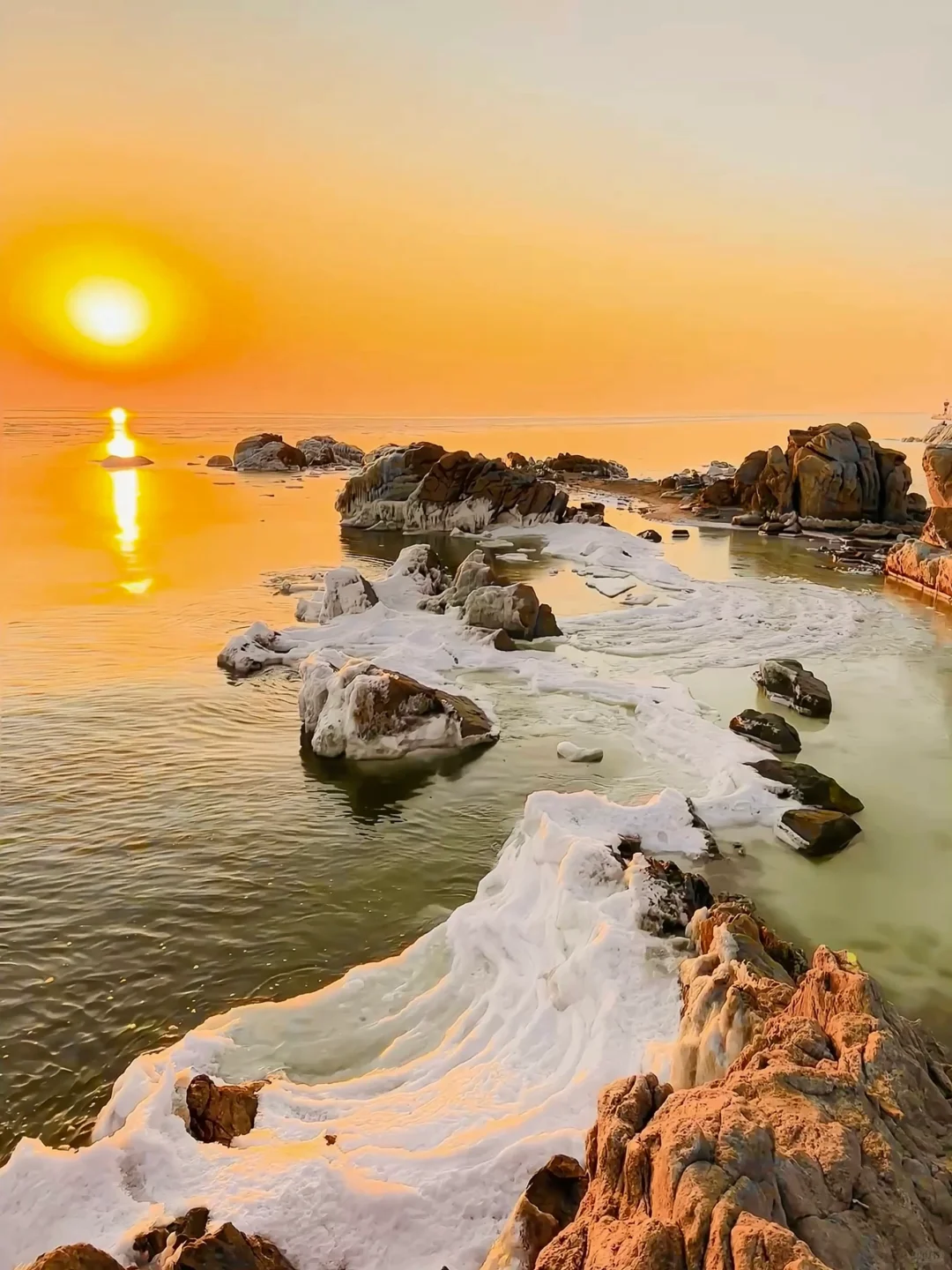 为了这𝟏𝟖张𝐥𝐢𝐯𝐞图我去了趟秦皇岛🌊