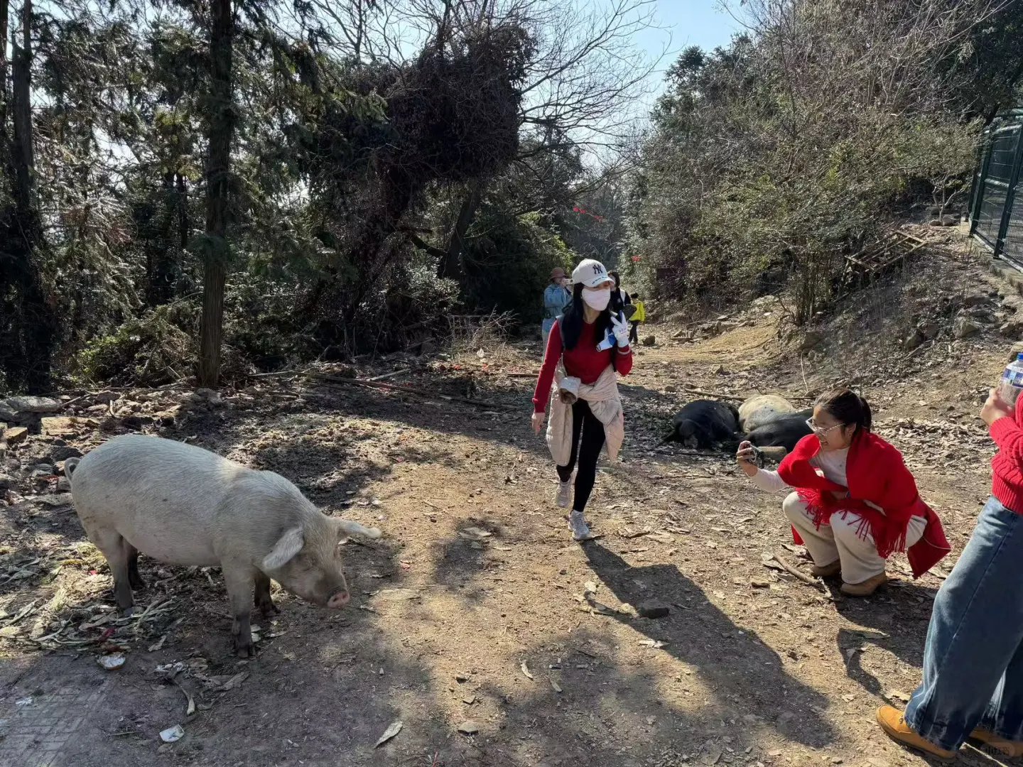 难度系数超低的亲子户外行动|旺山徒步2025