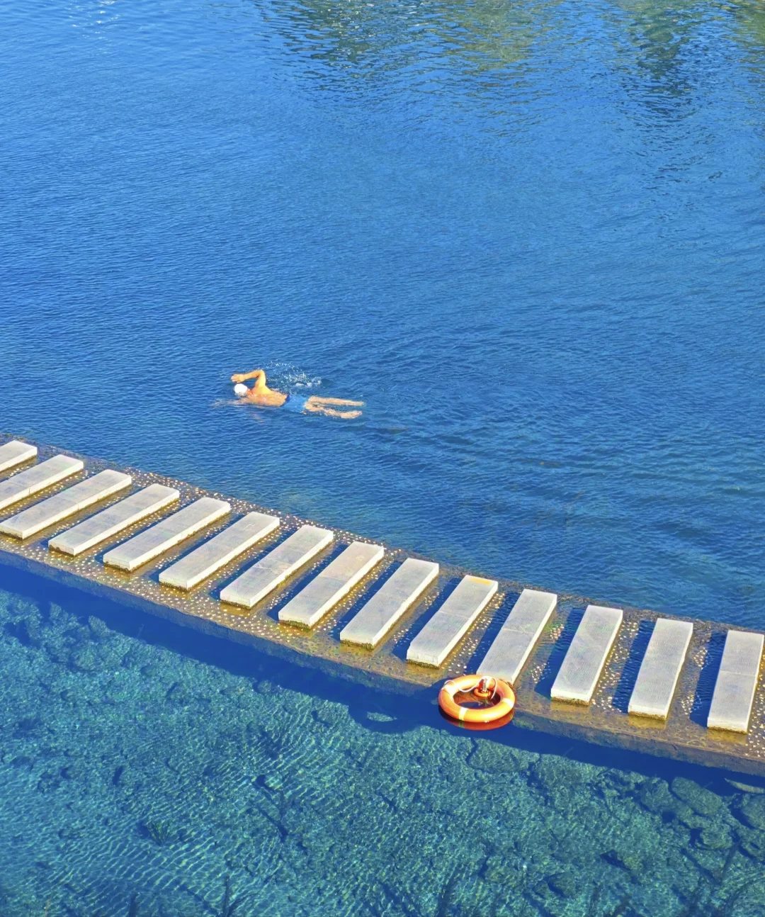 水至清则好多鱼