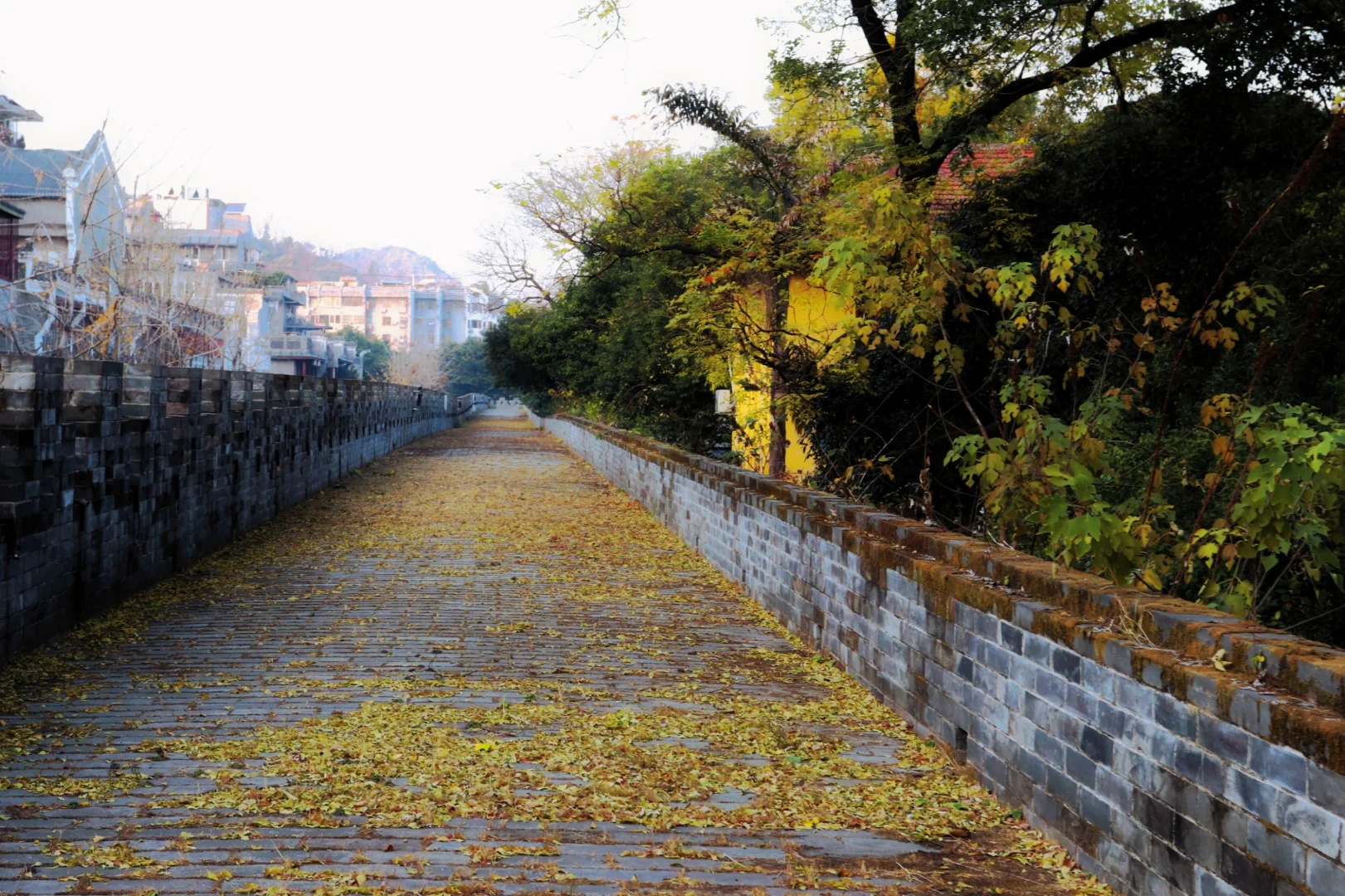 阅尽王府知桂林