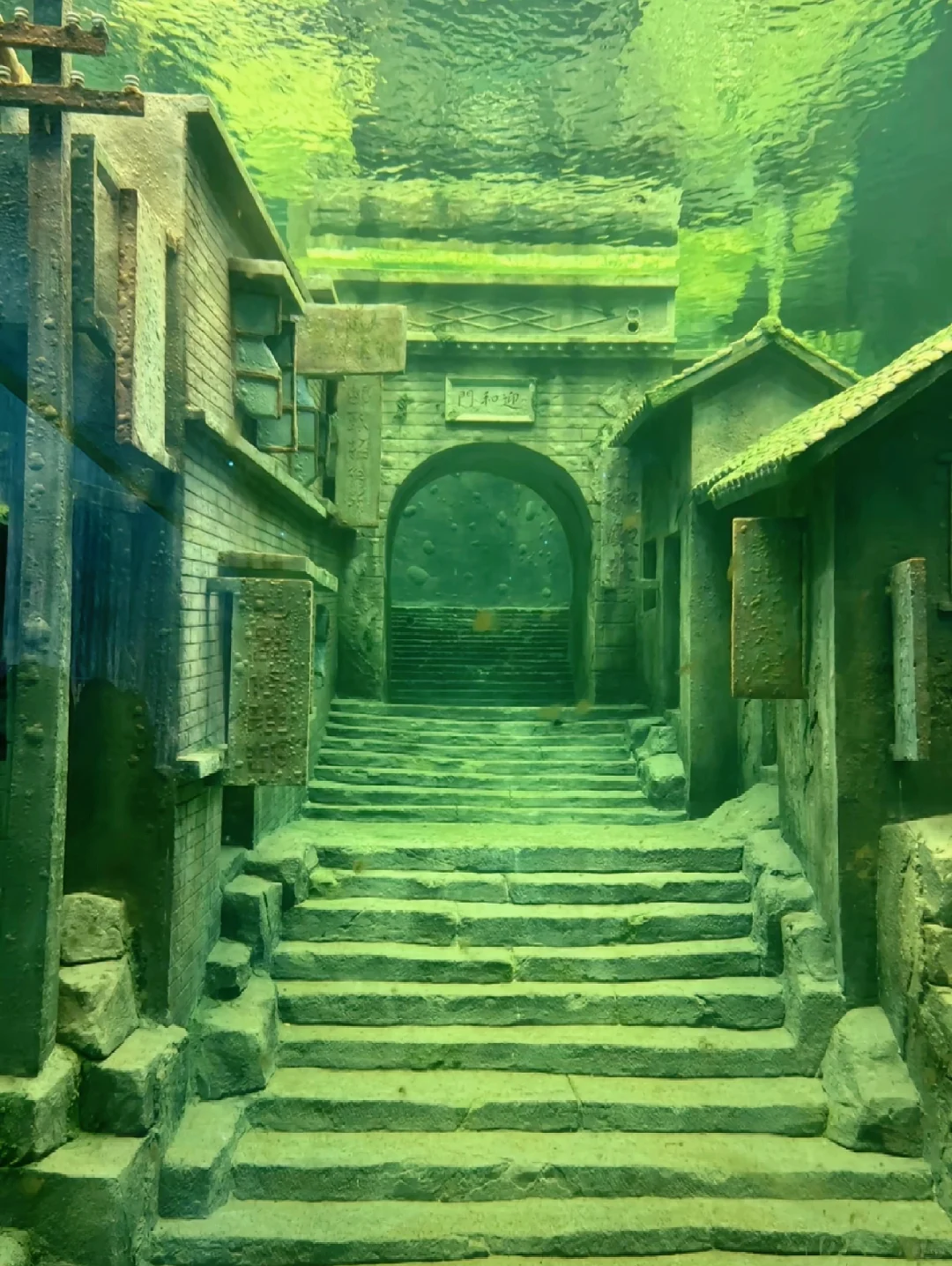 长见识了！第一次见到水下博物馆