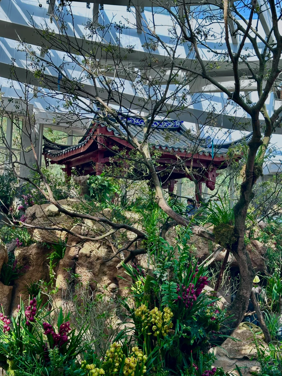 福州三江口植物园实况live㊙️游玩指南📸机位