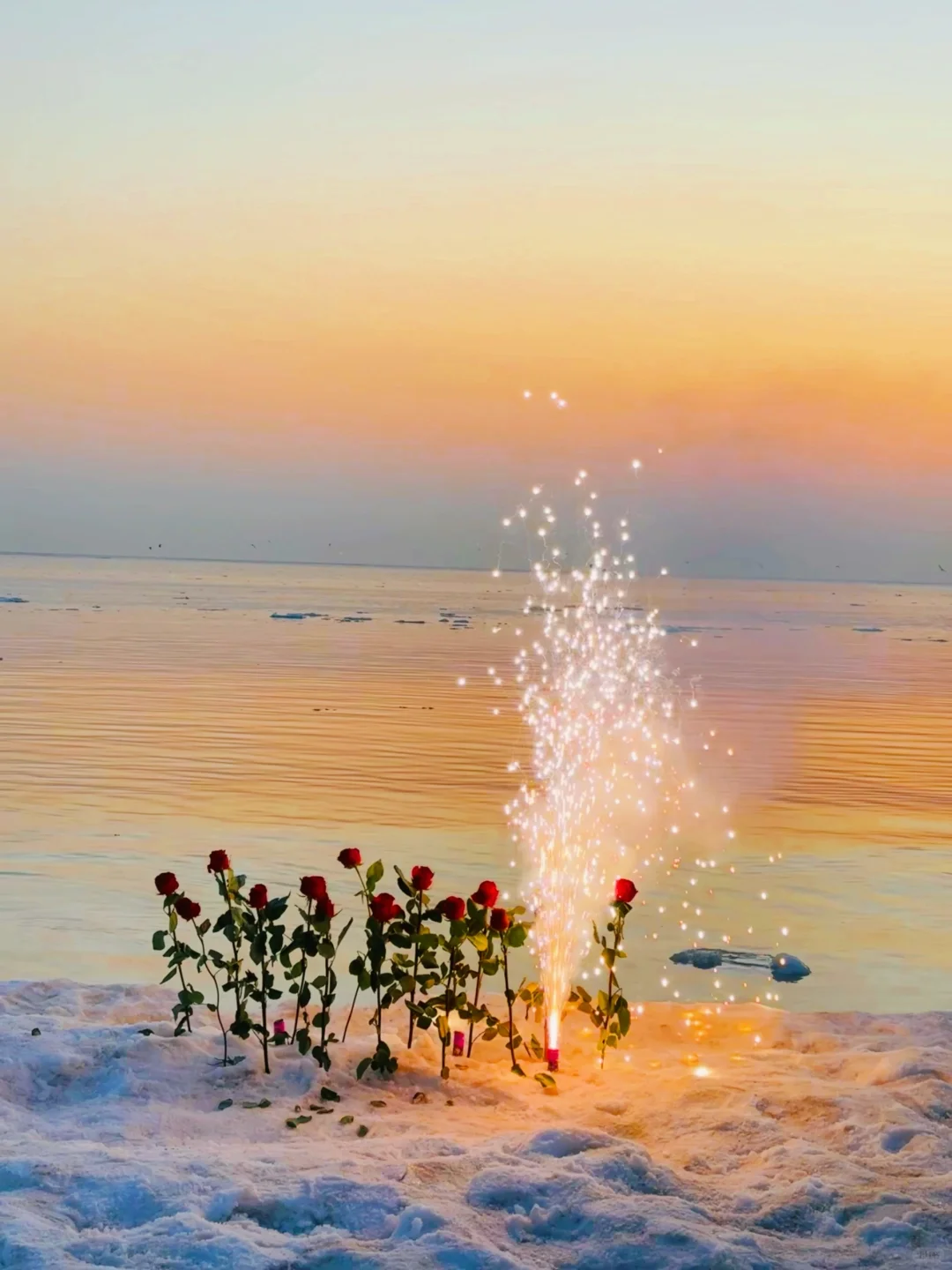 为了这𝟏𝟖张𝐥𝐢𝐯𝐞图我去了趟秦皇岛🌊