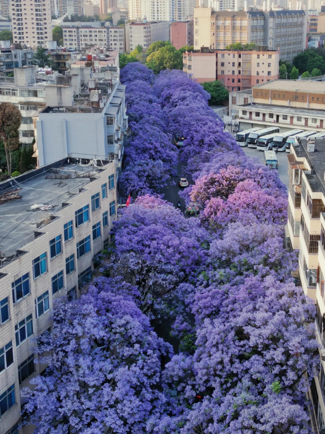 2024旅游结算｜我最难忘的9️⃣个旅行地!