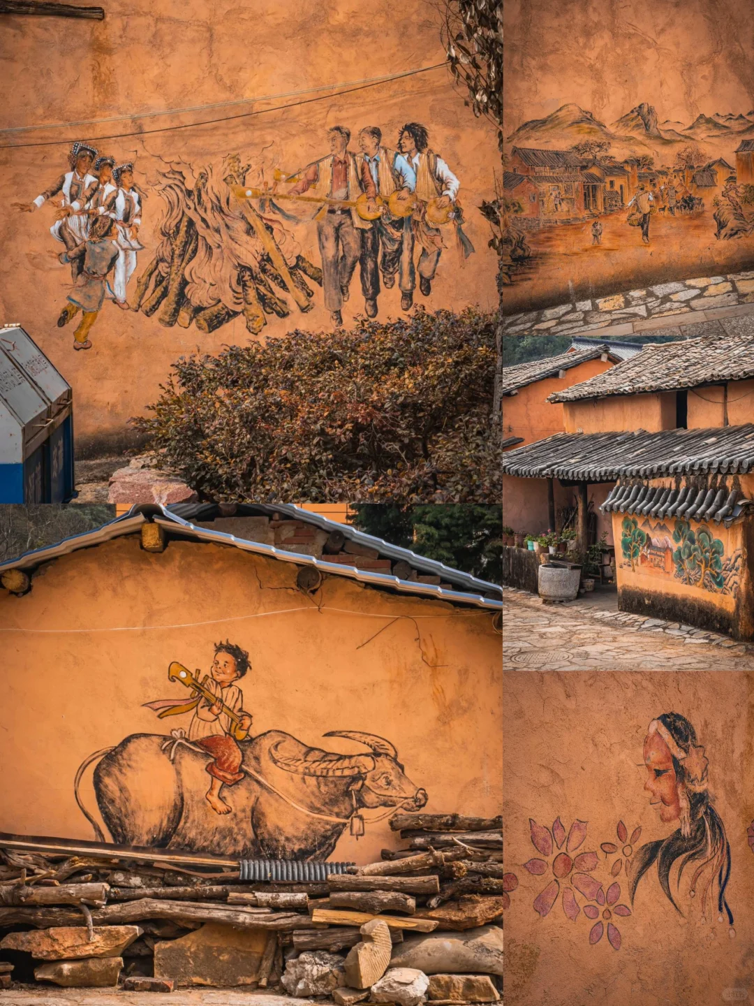 🌈弥勒| 12-2月冬季避寒旅行的宝地！