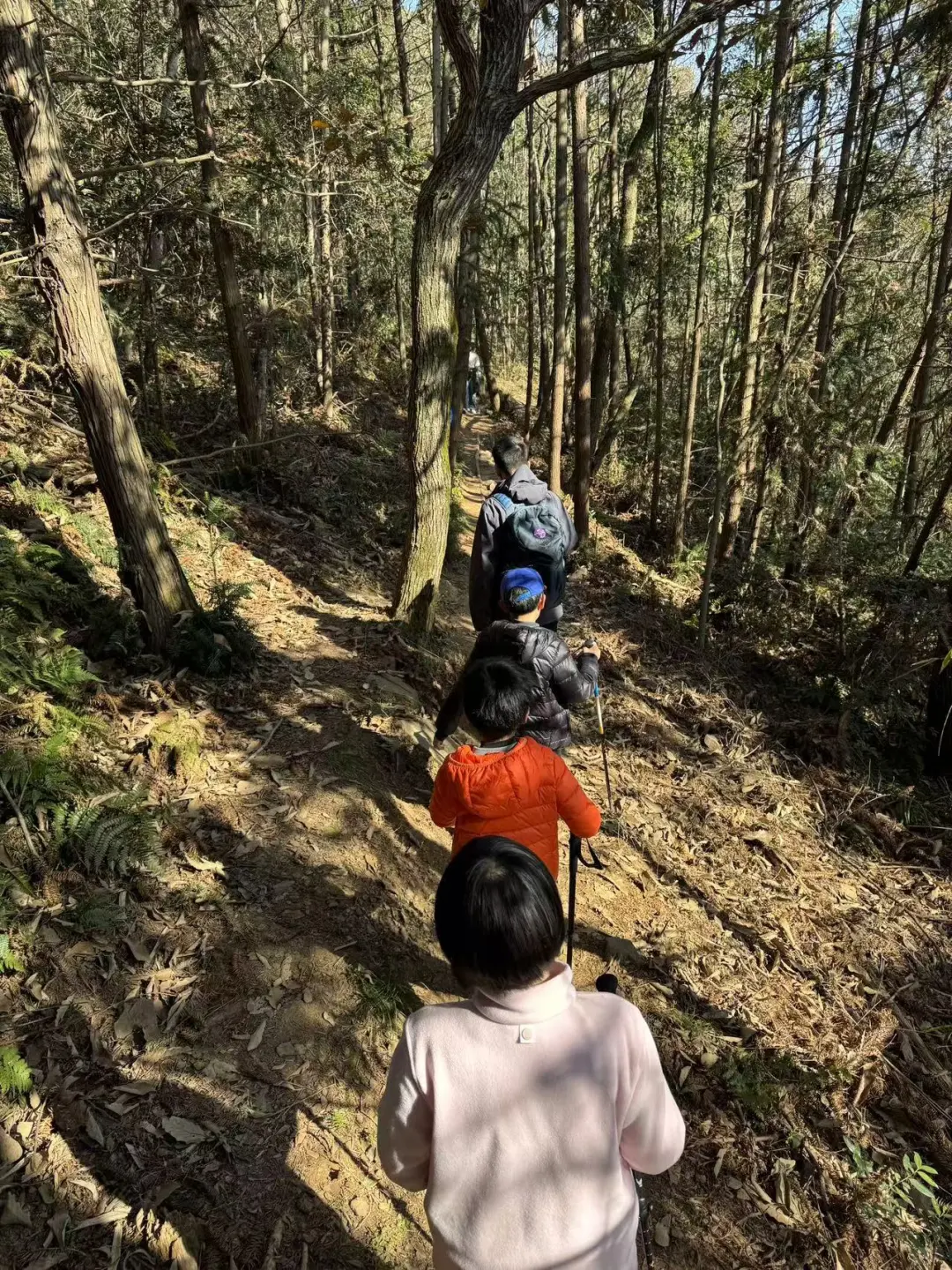 难度系数超低的亲子户外行动|旺山徒步2025