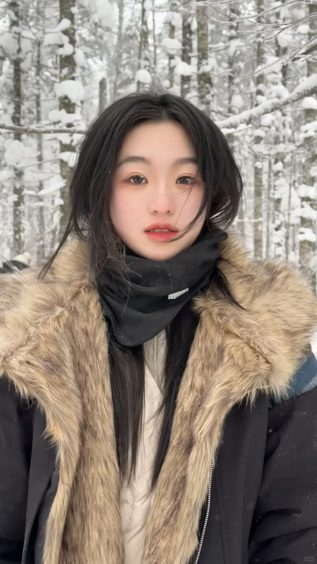 ❄️一篇看懂雪岭和老里克湖怎么选