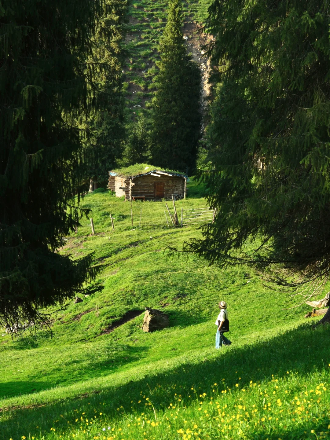 2024旅游结算｜我最难忘的9️⃣个旅行地!