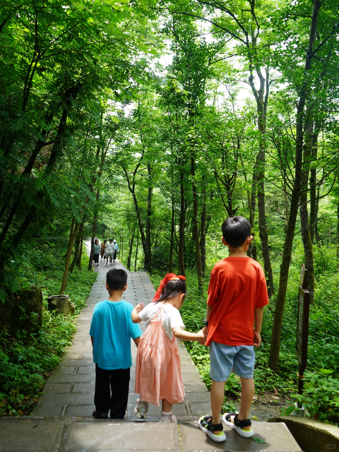 湖南｜5天4晚自由行攻略，精华景点全包含❗