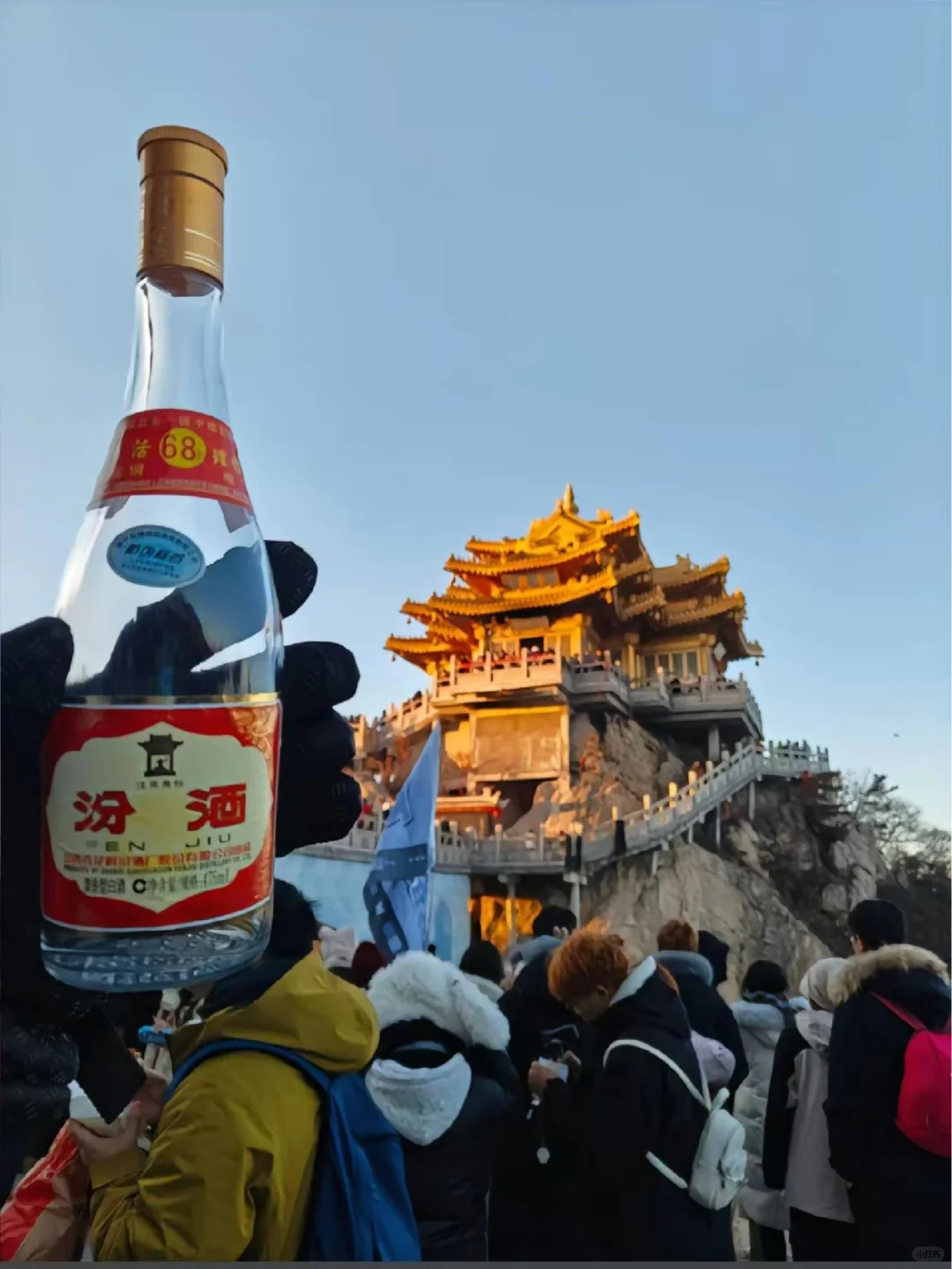 寒假春节计划去洛阳的姐妹们，避雷😭