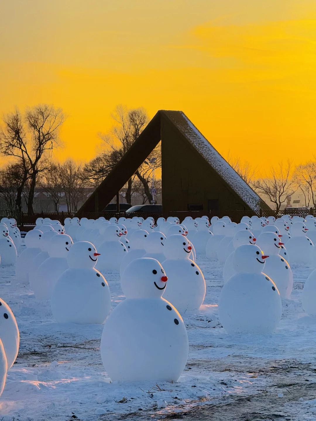 刚从哈尔滨回😭对自己的攻略满意的睡不着