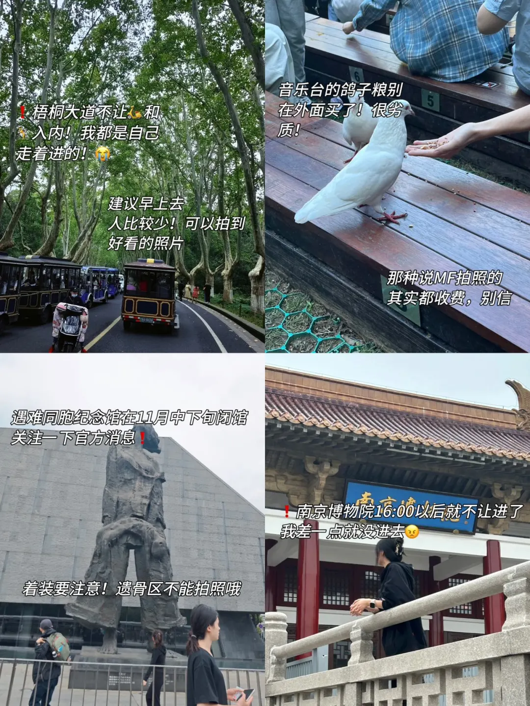 02女大📍南京/三天两夜精华版旅游攻略