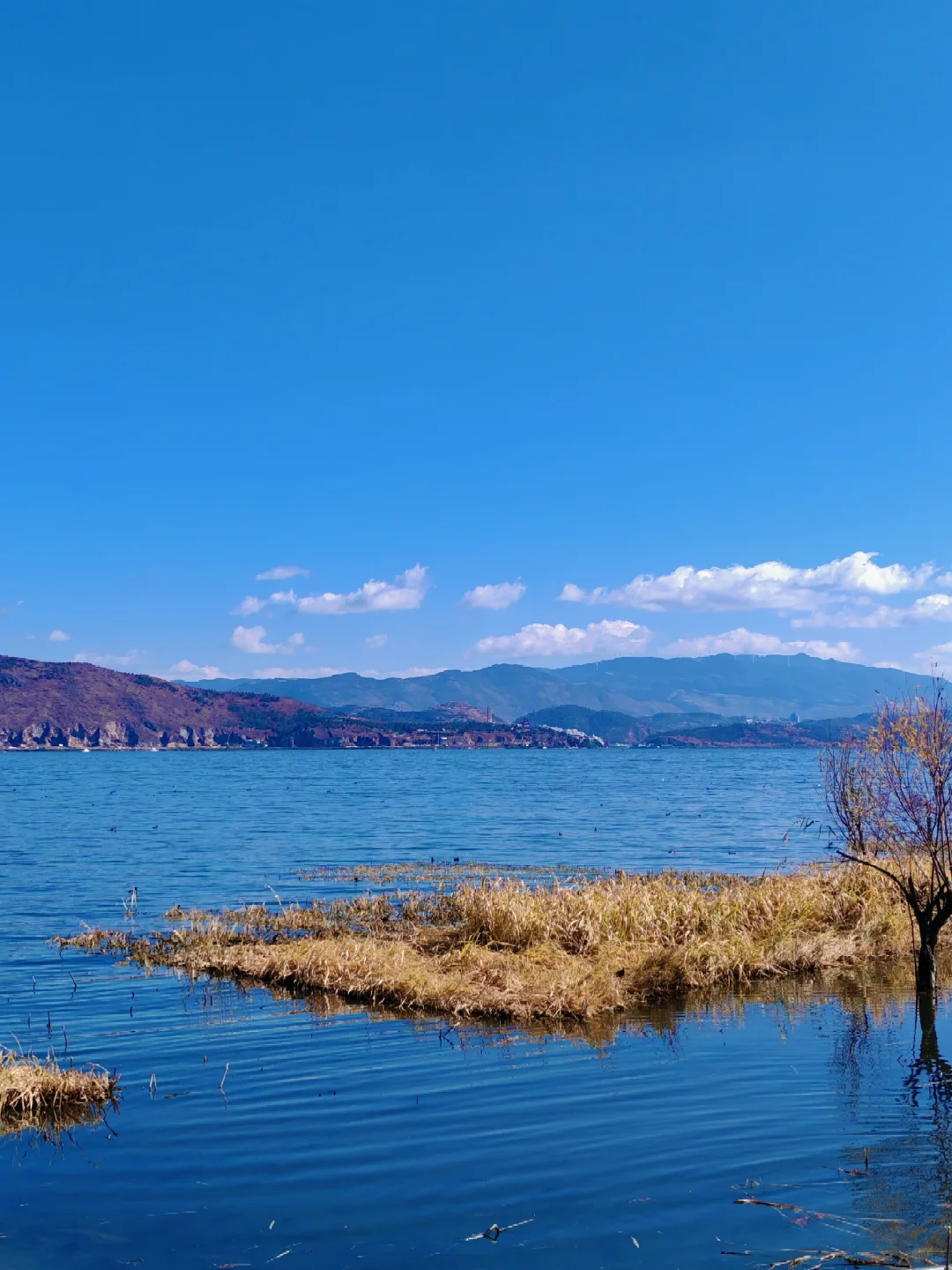 大理｜洱海生态廊道观光车值得坐吗