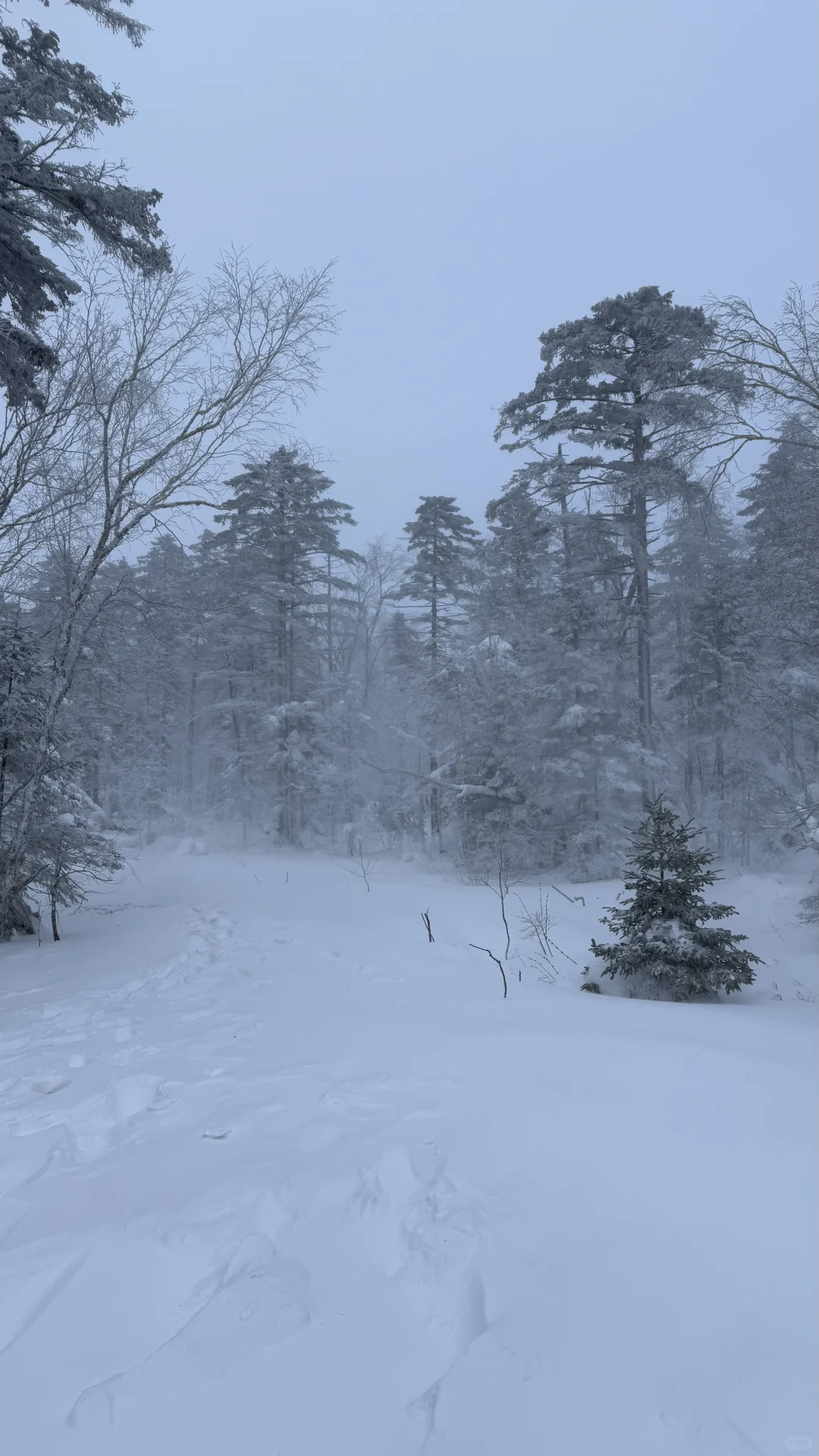 ❄️一篇看懂雪岭和老里克湖怎么选
