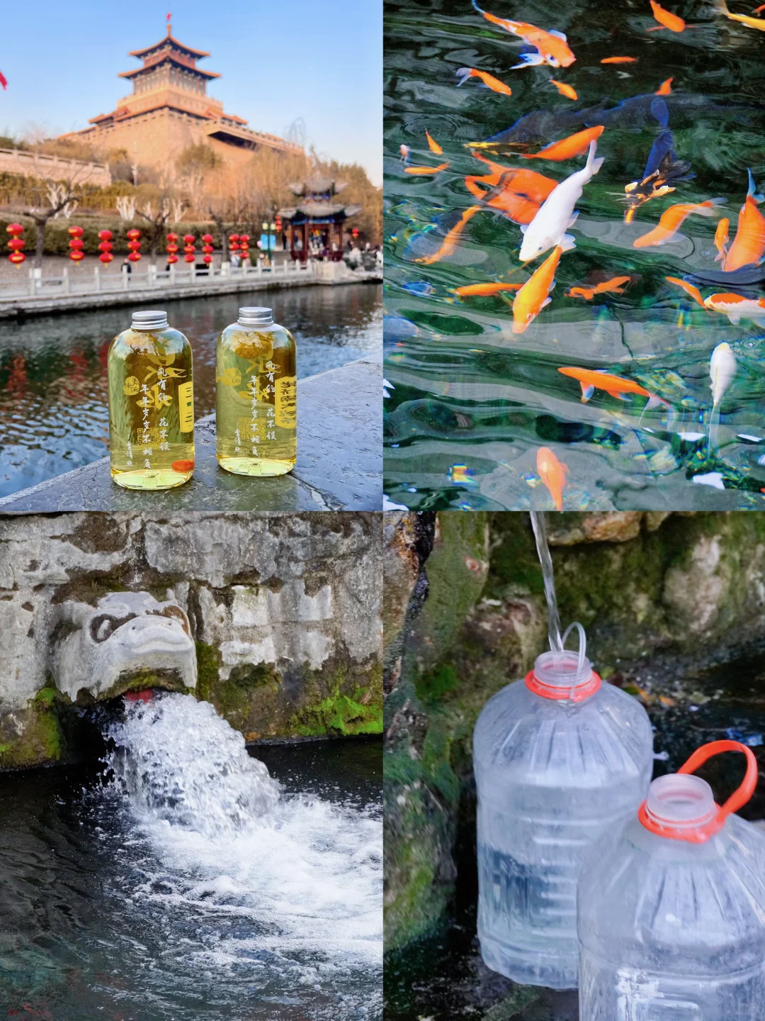 冬天来济南🍂直接复制citywalk机位路线‼️