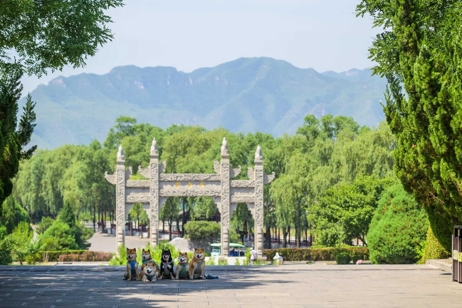 小狗们的仙剑奇侠传|宠物友好5A景区|邯郸