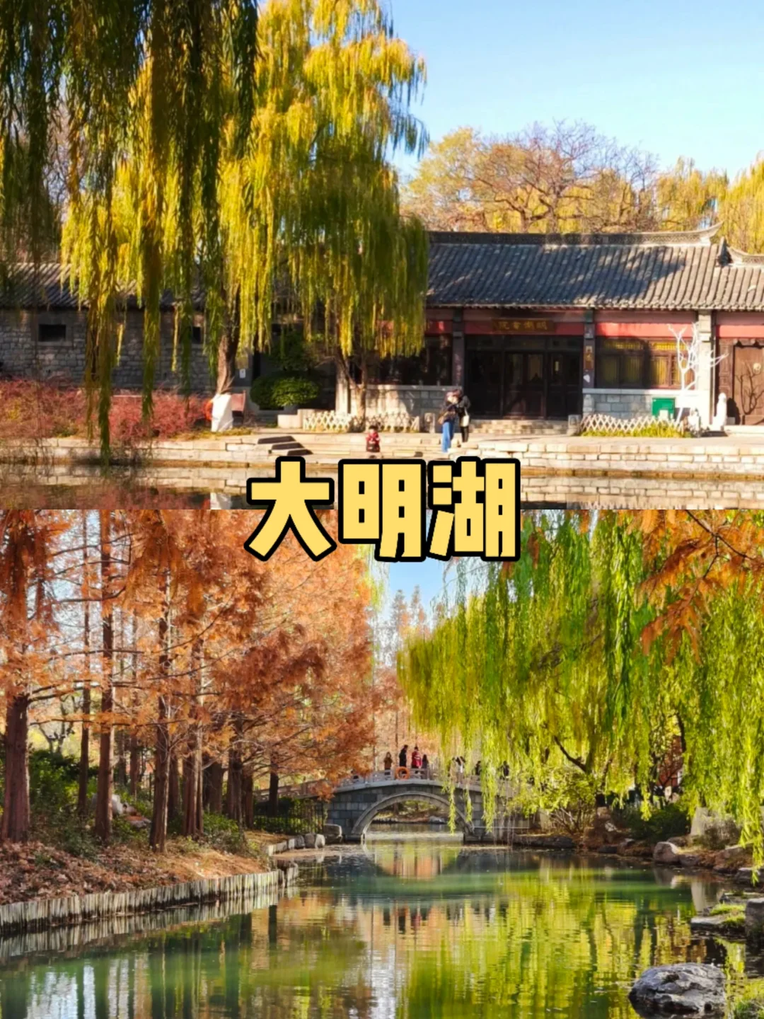 去济南前，听点不一样的大实话吧……