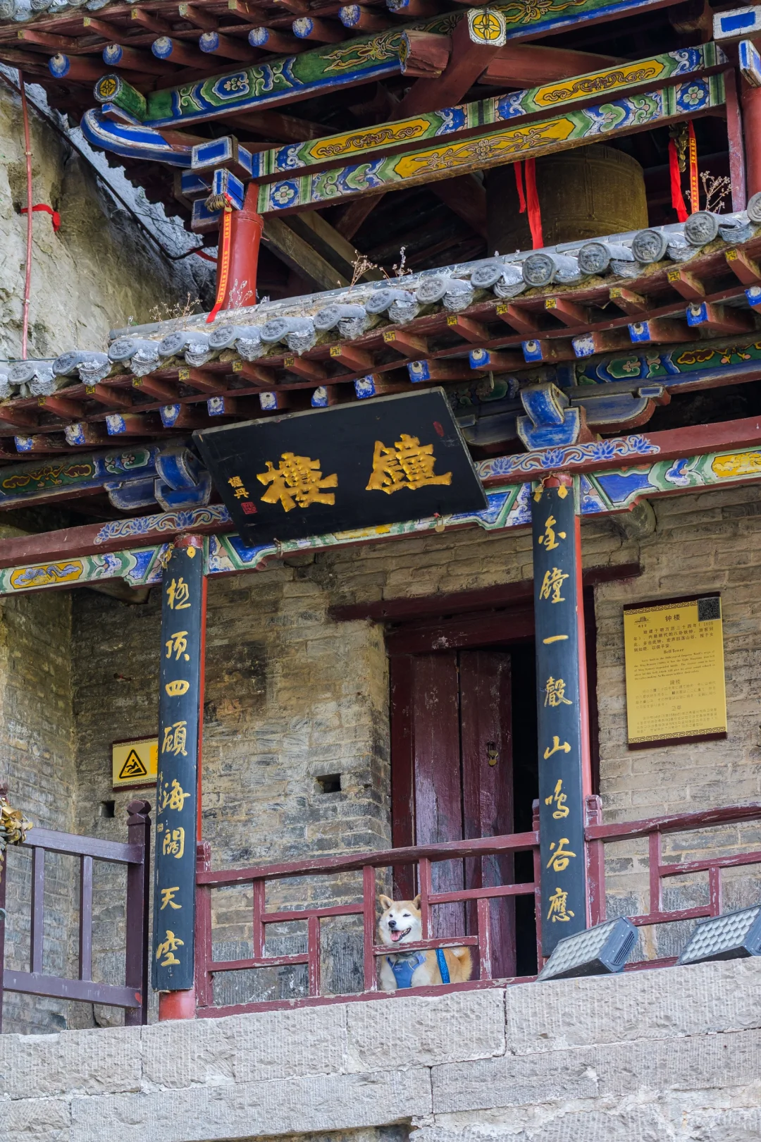 小狗们的仙剑奇侠传|宠物友好5A景区|邯郸