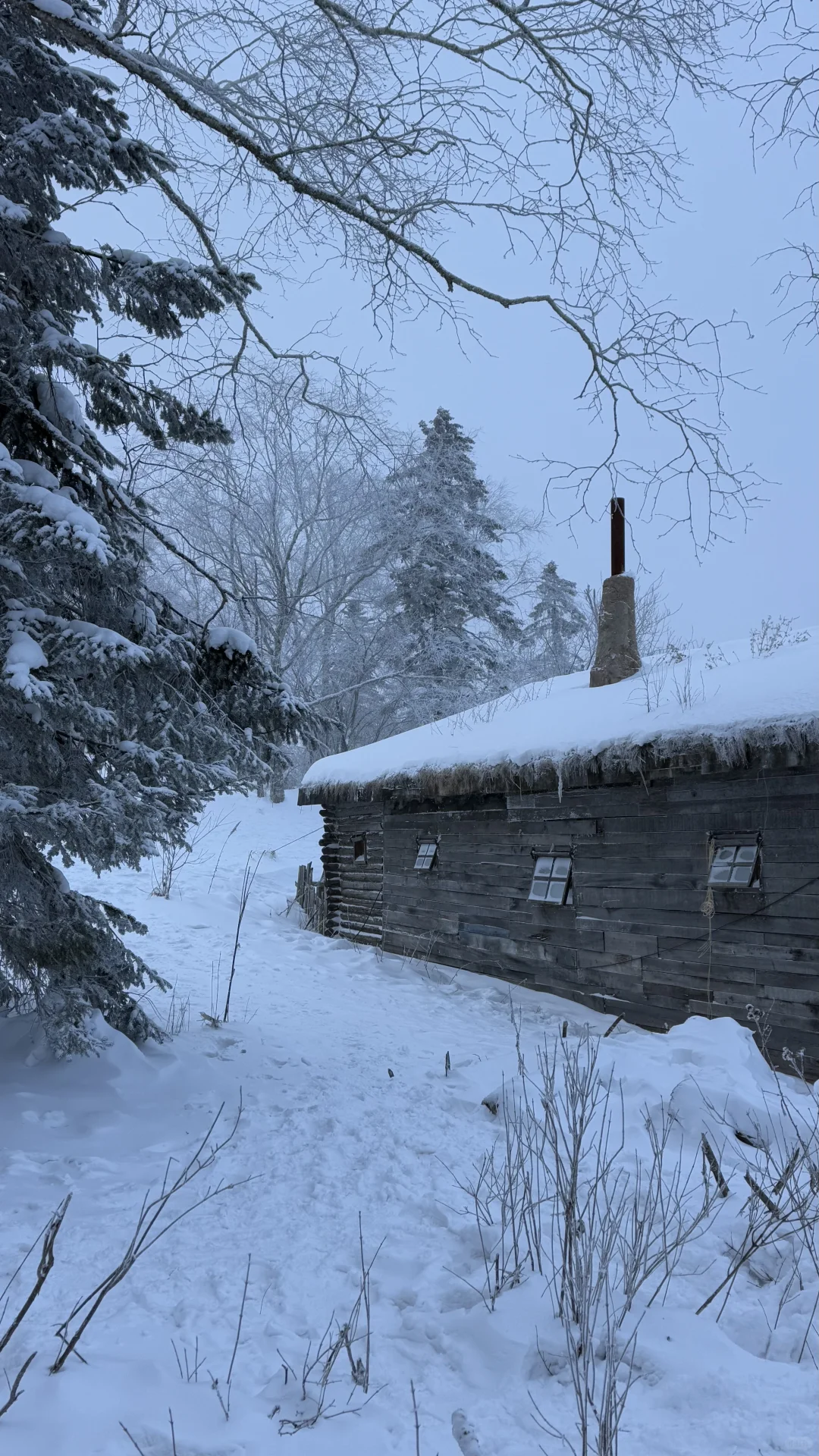 ❄️一篇看懂雪岭和老里克湖怎么选