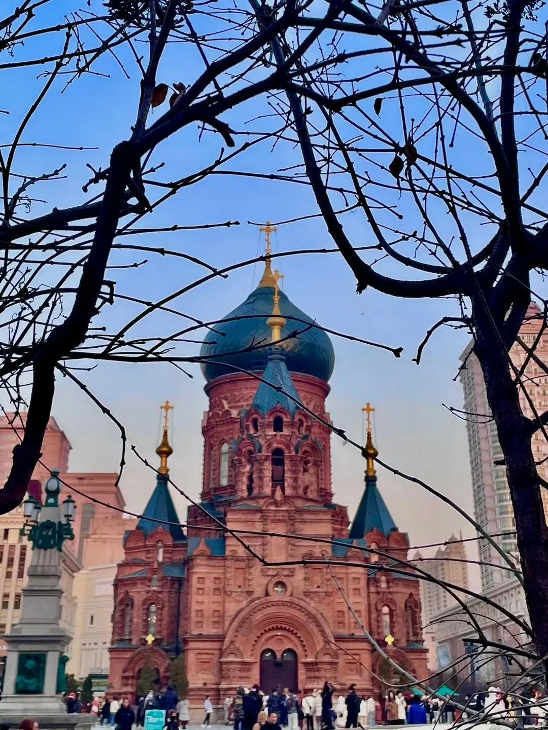 花了5000元买来的哈尔滨旅游教训😭听劝！