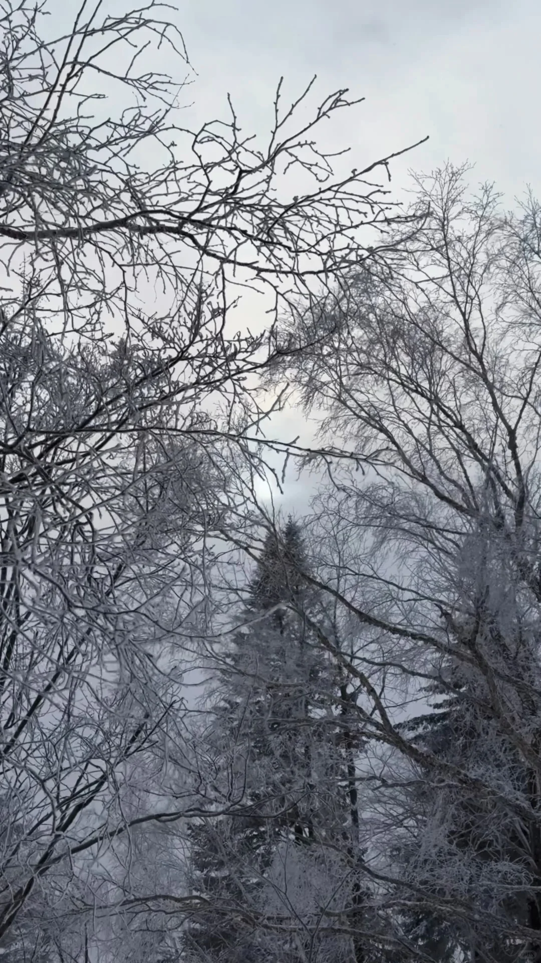 ❄️一篇看懂雪岭和老里克湖怎么选