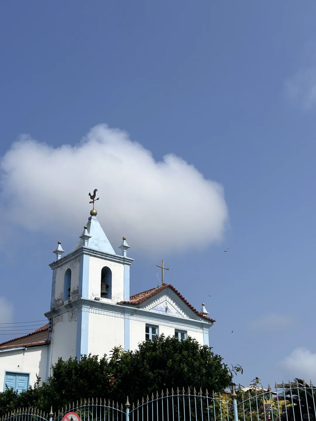 人生下来就是光着的！🇧🇷