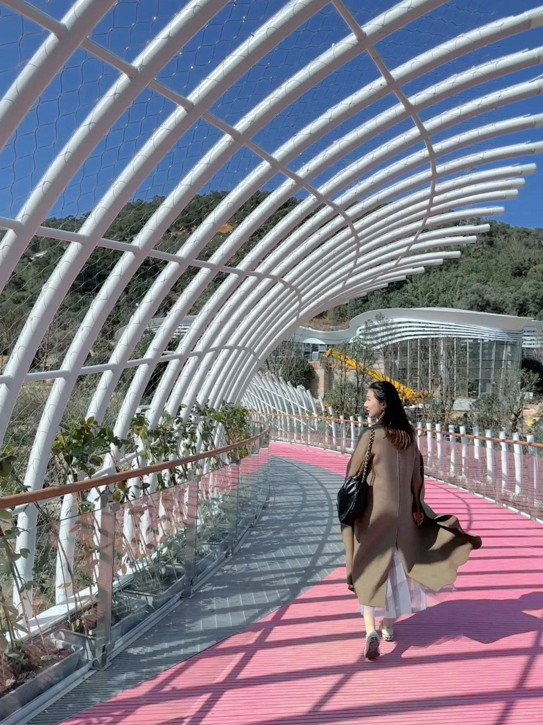 福州三江口植物园实况live㊙️游玩指南📸机位