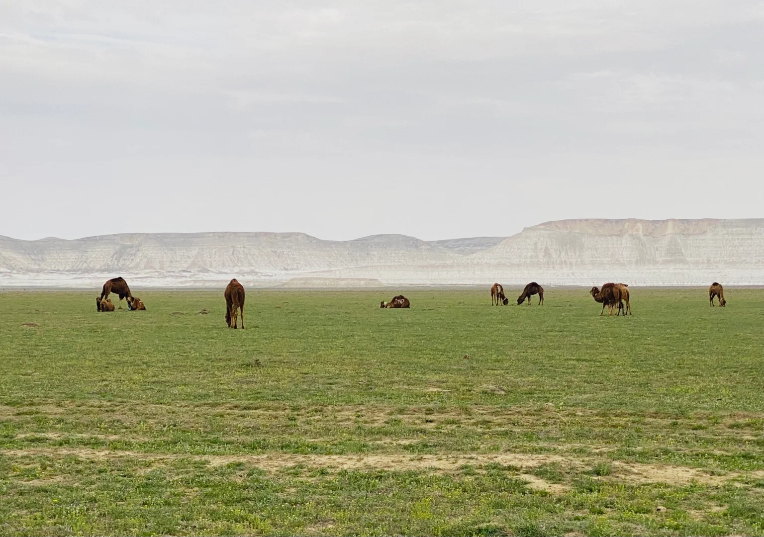 乌兹别克和哈萨克斯坦旅行比较和总结