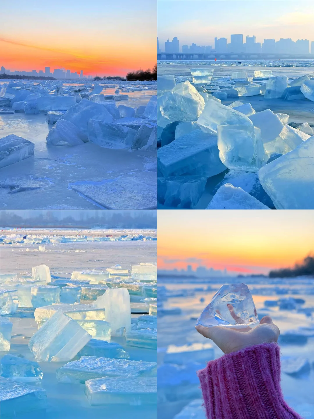 刚从哈尔滨回😭对自己的攻略满意的睡不着