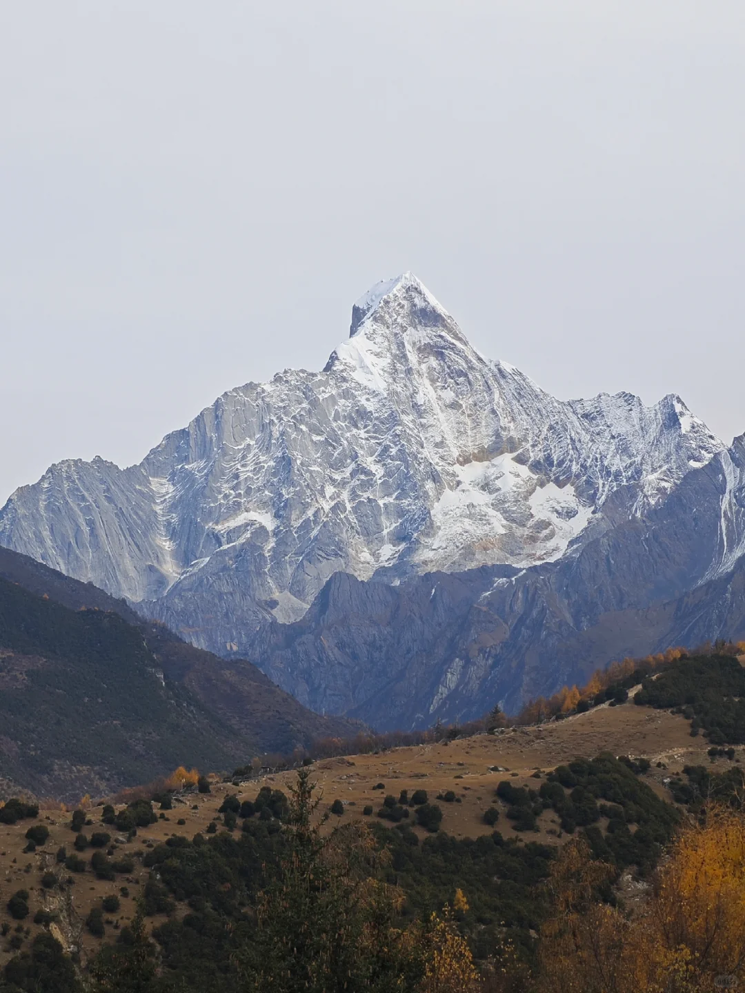 成都5天玩遍周边所有精华景点