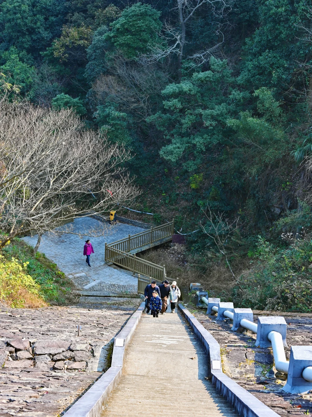 没想到！宁波0.5h藏着一条绝美山水徒步路线