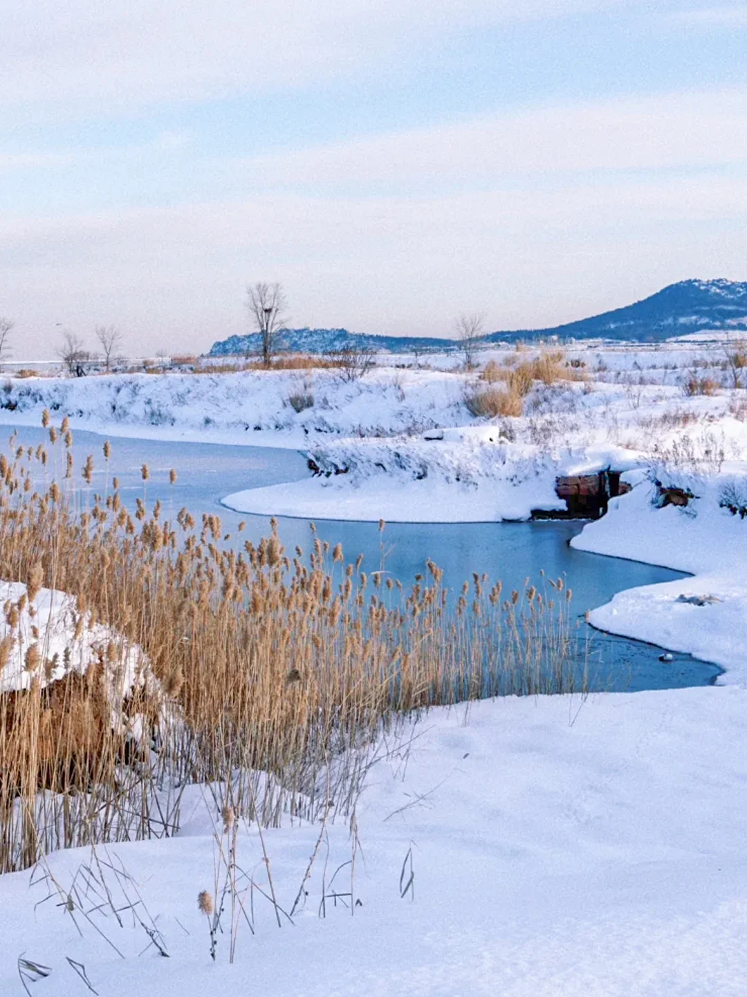 写给12-2月去威海看雪的姐妹！超全攻略👇