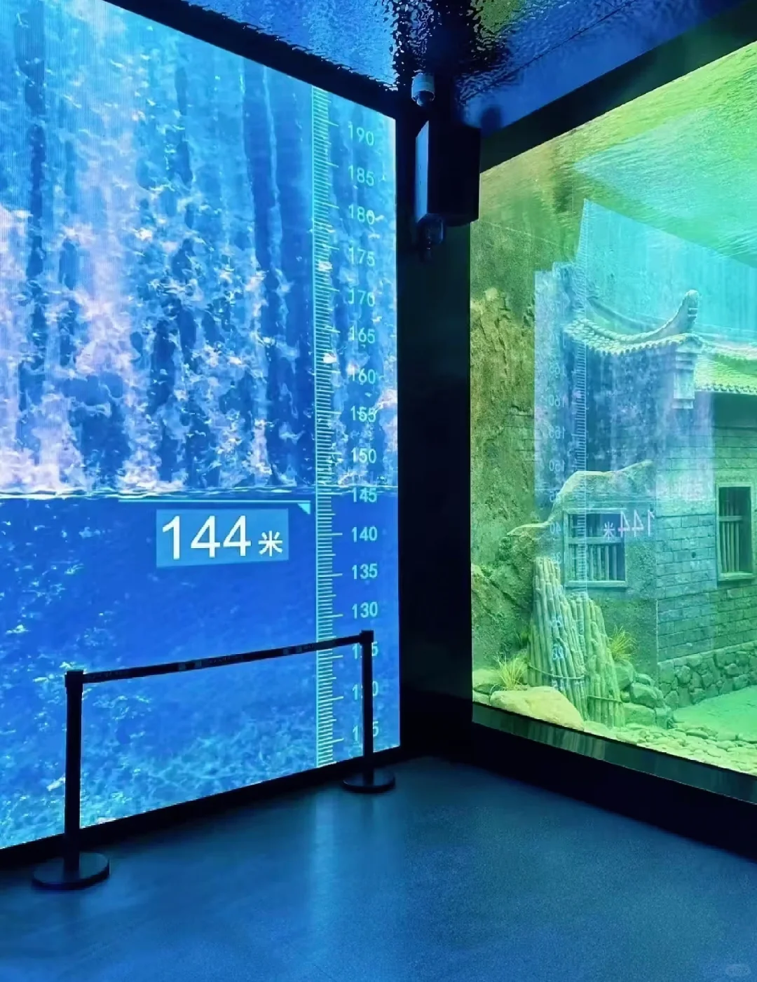 长见识了！第一次见到水下博物馆