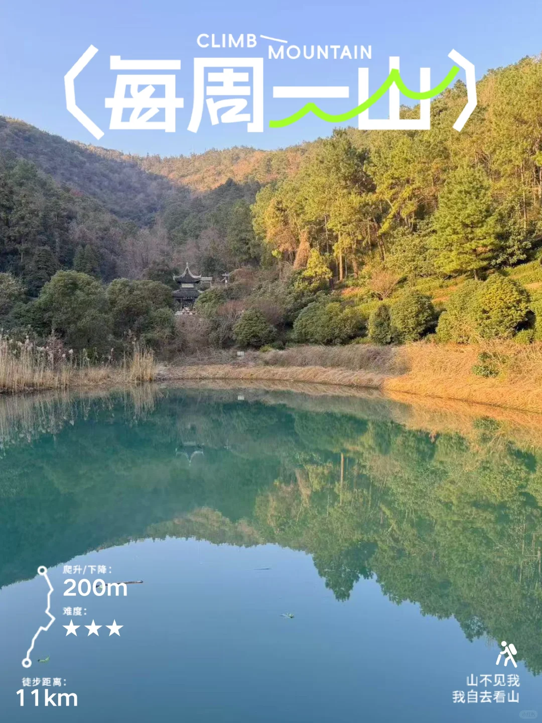 难度系数超低的亲子户外行动|旺山徒步2025