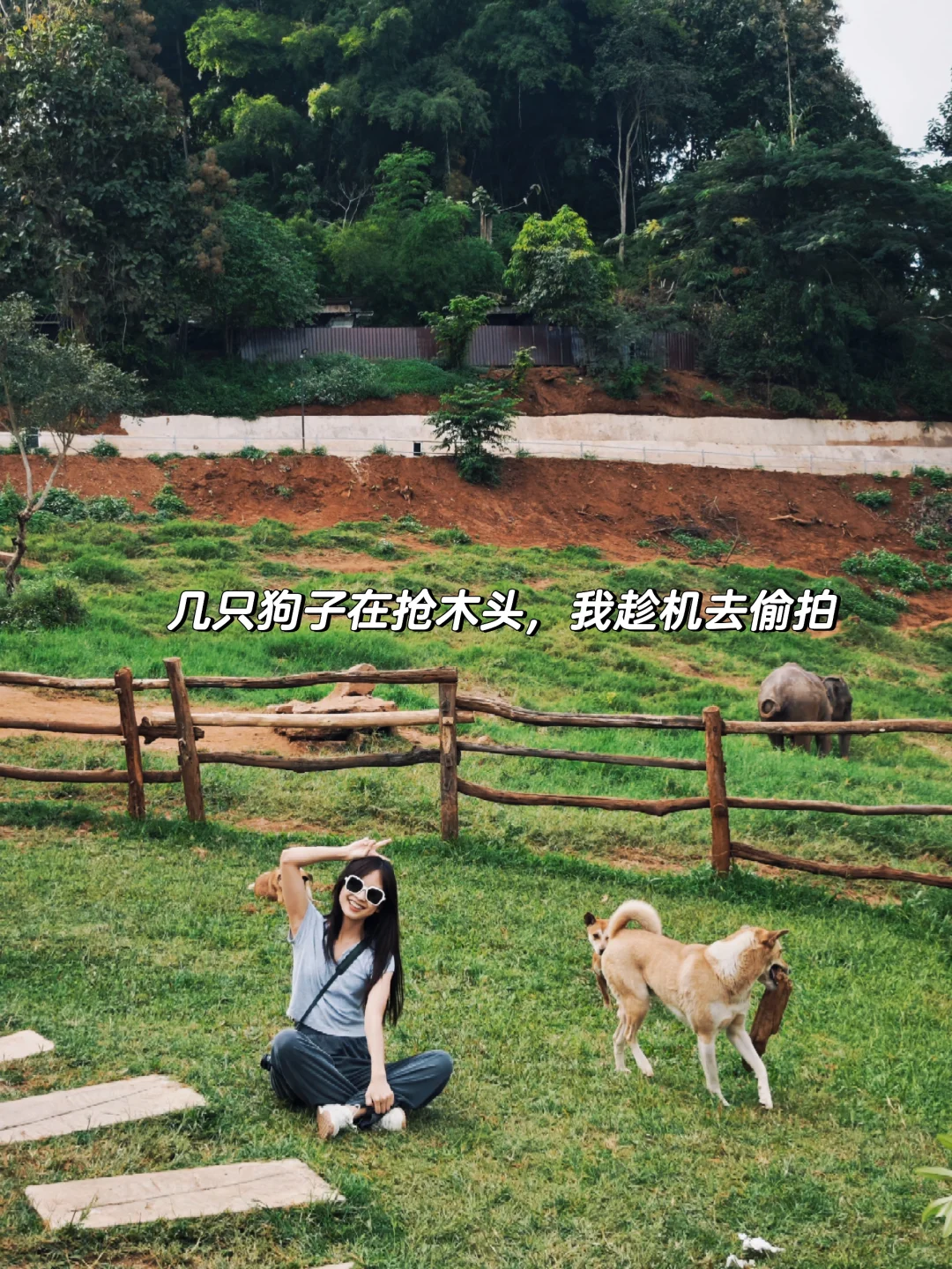 旅行是一场短暂的逃离