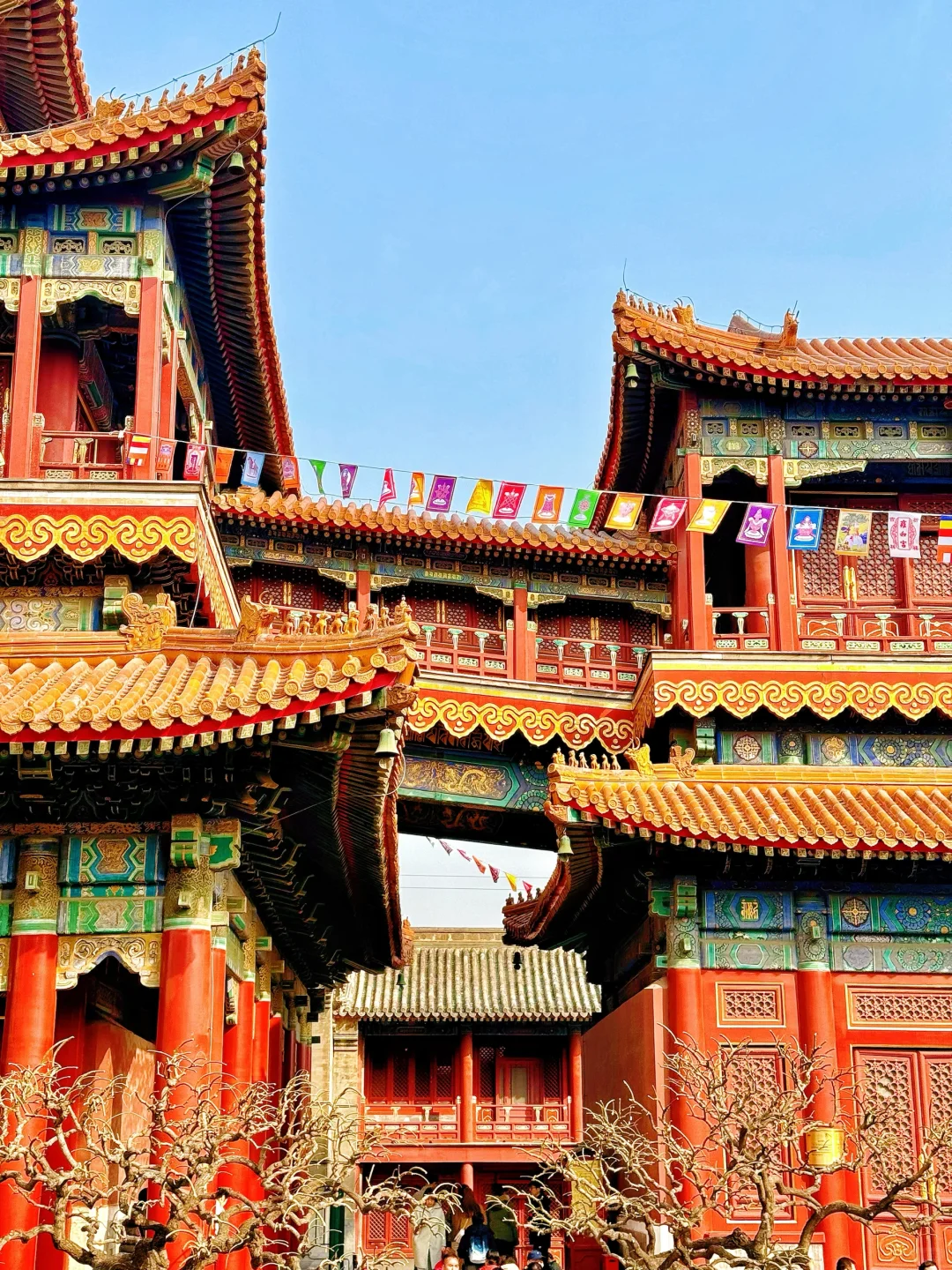 北京｜2024我拍到的1️⃣8️⃣个绝美机位