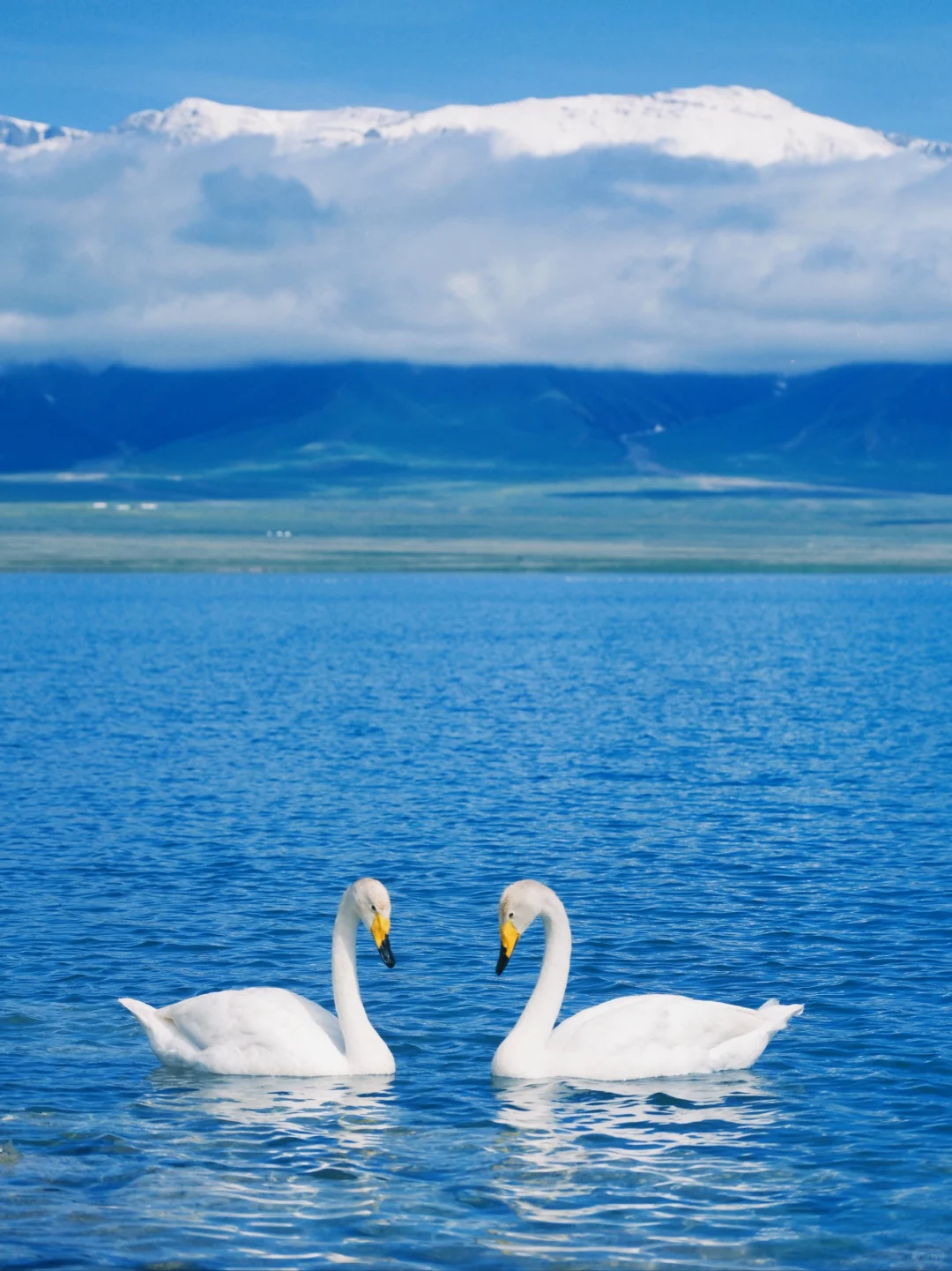 2024旅游结算｜我最难忘的9️⃣个旅行地!